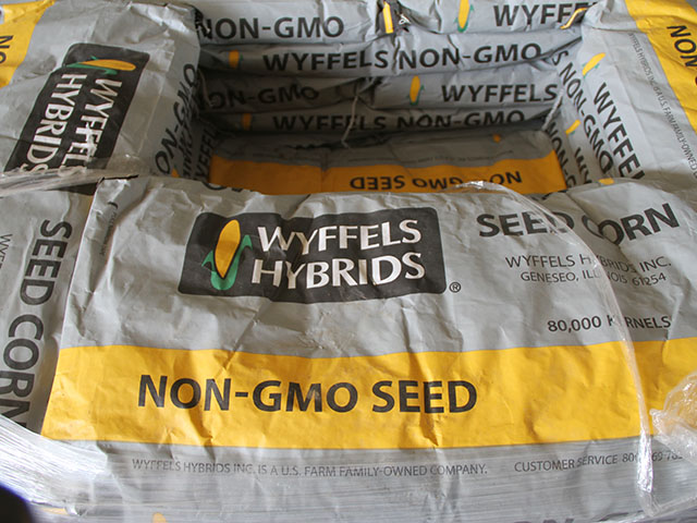 The low price tag of non-GE corn seed can be tempting, but consider the costs of keeping GE corn pollen at bay first. (DTN photo by Pamela Smith)