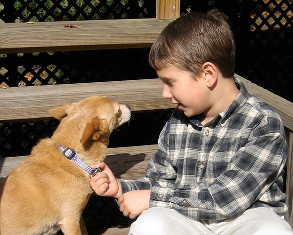 Take rabies protection seriously by making sure all cats and dogs are vaccinated. (DTN/Progressive Farmer photo by Victoria G. Myers)