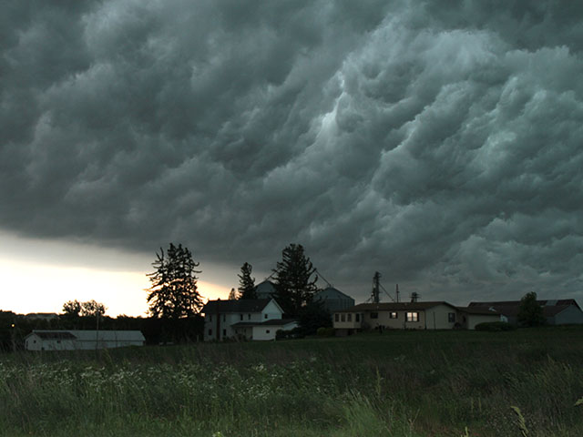 Harsh economics may force rethinking of some farm business plans. (DTN photo by Pam Smith)