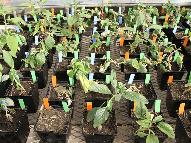 Research to develop and register new herbicides and other pesticides is increasingly costly and complicated. (DTN photo by Pamela Smith) 
