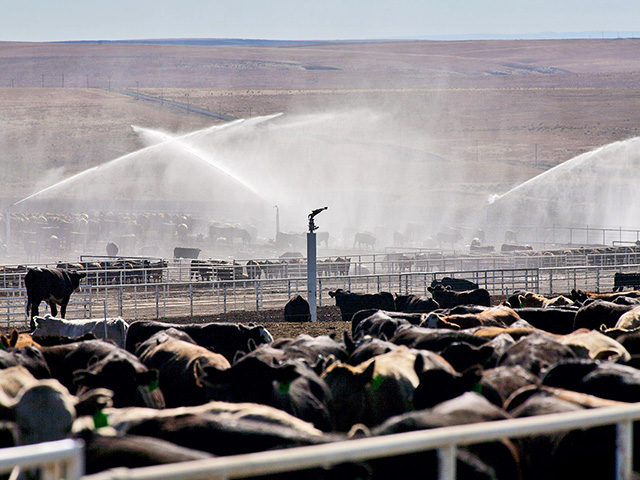 Plan now for a summer sprinkler system that can reduce heat without raising humidity or making a muddy mess. (Photo courtesy of manufacturer)