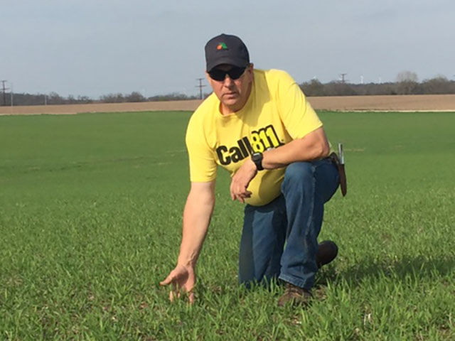 Kevin Glanz has been battling with his insurance company over his plan to interseed a cover crop into his standing corn crop later this spring. Glanz&#039; insurer told him he would face a quality-control audit this year after he reached out to the regional Risk Management Agency office regarding the dispute. (Photo courtesy of Kevin Glanz)