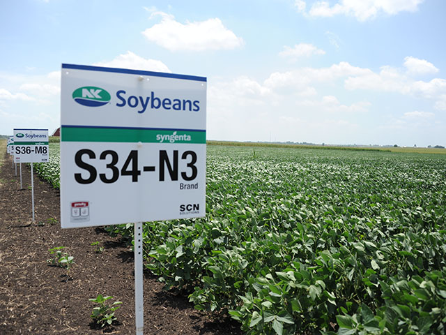 U.S. growers may soon have a seed company with ties to China if the proposed Syngenta deal goes through. (DTN photo by Pamela Smith)