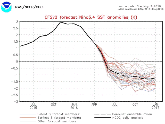 The U.S. forecast model -- and other world weather calculations -- show a steadily cooling Pacific through the summer. (NOAA graphic)