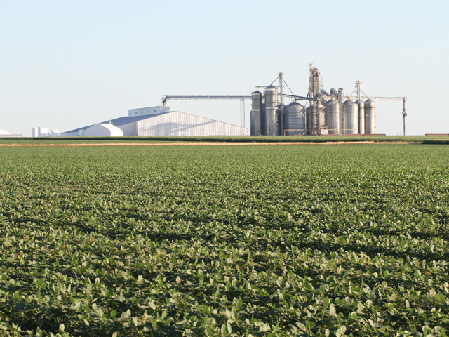 Growers are encouraged to check with their grain elevators about acceptance of certain GM traits that might not be approved in international markets. (DTN photo by Pamela Smith)