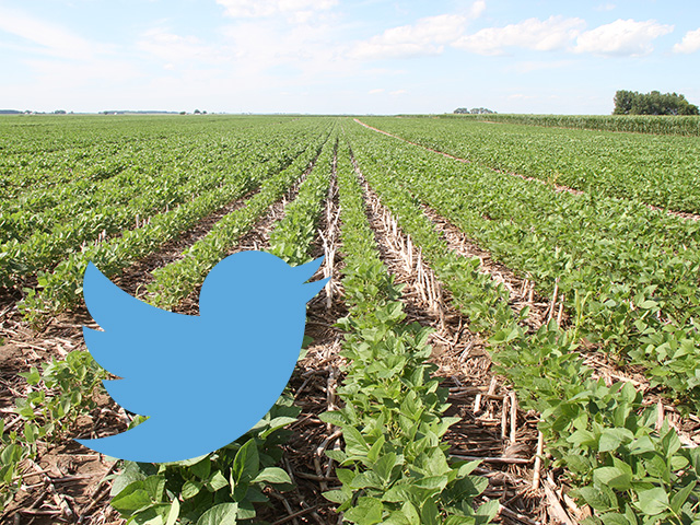 Scientists are hoping to launch a national Twitter campaign to help themselves and farmers track the spread of crop diseases in real time in 2016. (DTN photo by Pam Smith; photo illustration by Nick Scalise)  
