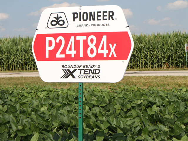 The EU approval of the Roundup Ready 2 Xtend soybean trait stack solves a critical market issue. DuPont Pioneer is one of the companies that commercialized the trait this year in hopes full import approvals would be granted. (DTN photo by Pamela Smith)