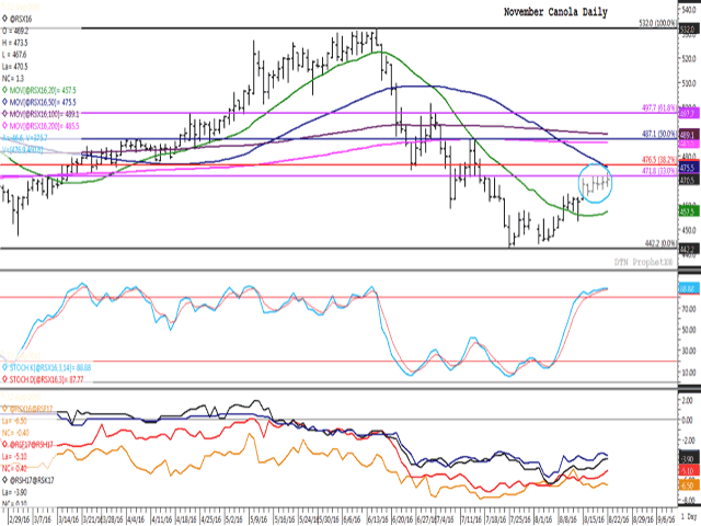 Despite the challenges faced in the canola market, the November contract moved above resistance for the third time in four sessions on Monday, while reaching fresh highs in the uptrends seen on both the daily and weekly charts. The first study shows daily momentum indicators in over-bought territory, leaving the market vulnerable to a sudden change in direction, while spreads ended mixed on Monday. (DTN graphic by Nick Scalise)