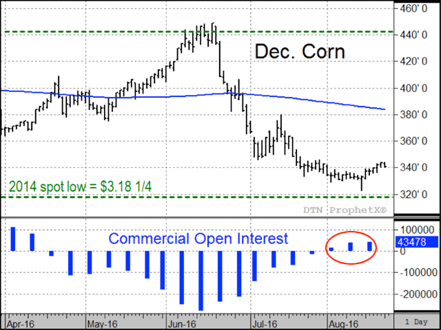 Will corn&#039;s low prices get lower? In years of bigger-than-expected harvests, Dec corn shows no strong tendency to trade either higher or lower from the end of August to the end of November (Source: DTN&#039;s Todd Hultman).