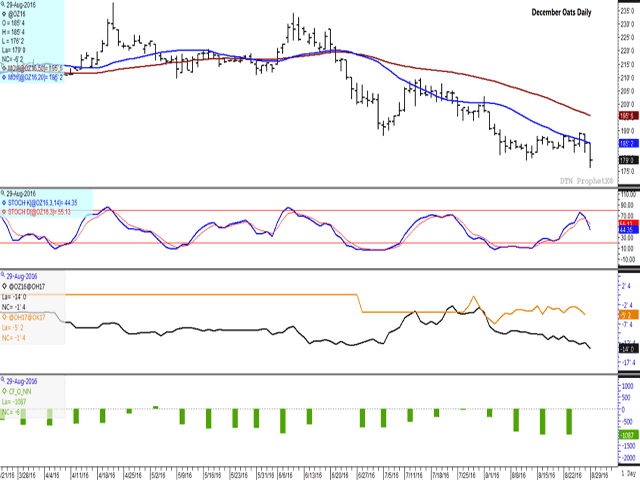 December oats reached a fresh contract low on Monday.  The first study shows the stochastic momentum indicators rolling over to show a downward trend in prices, with room to move lower yet prior to reaching oversold territory. The second study shows the Nov/Jan spread weakening in Monday's trade to break support and reach the weakest spread seen over the life of the contract of minus 14 cents. The lower study shows the latest CFTC data increasing their net-short position for the fourth consecutive week. (DTN graphic by Nick Scalise)