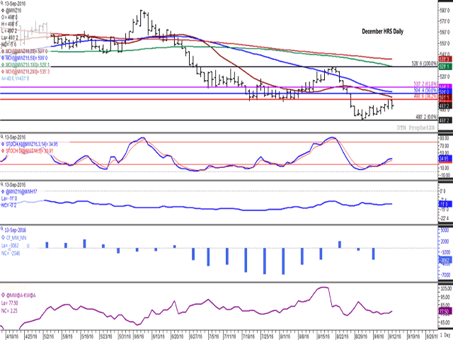 December hard red spring wheat futures ended lower on Tuesday after testing retracement resistance at $4.98 3/4/bu. for the second straight session. The $5 level seems like it's going to be a tough level to crack. The blue line on the second study represents the Dec/March spread which closed unchanged at minus 10 3/4/bu. The latest CFTC data (third study) shows investors or noncommercial traders becoming increasingly bearish. (DTN graphic by Nick Scalise)