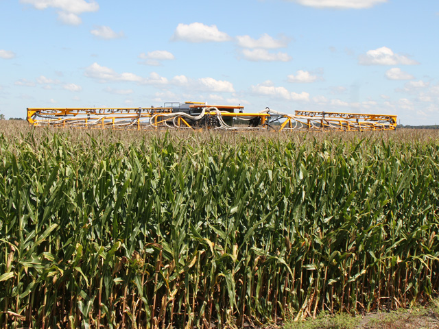 Clean seed is an important precaution while seeding cover crops, says Darrin Sass, Streator, Illinois. Here he custom seeds cereal rye into standing corn near Tuscola, Illinois. (DTN photo by Pamela Smith)