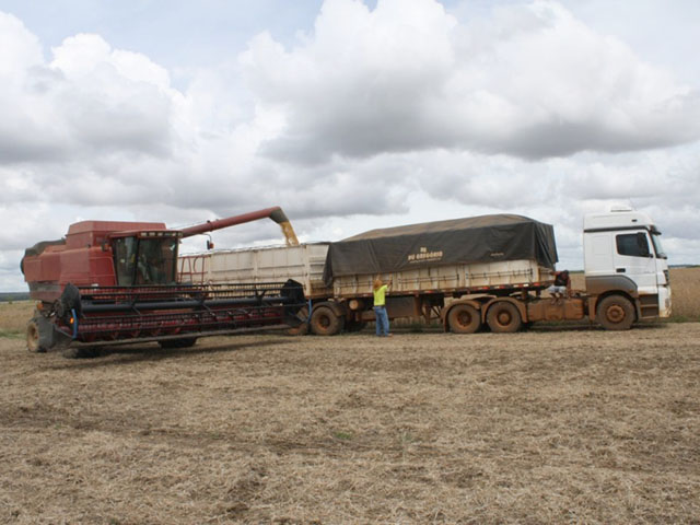Yield contests are pushing Brazilian farmers to triple-digit yields with management of inputs. (Photo by Alastair Stewart)