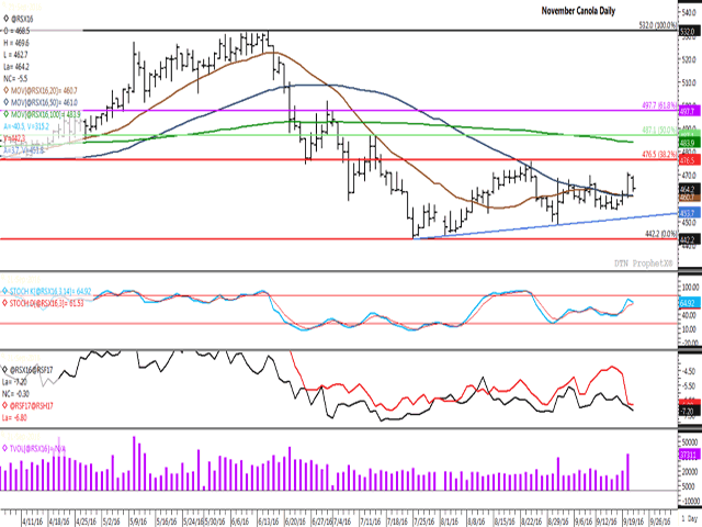 The November contract reached an 18-day high on Tuesday on the largest daily volume seen in three months, with noncommercial short-covering behind the move. Wednesday's trade saw consolidation, with commercial selling weighing on price, as indicated by the weakening spreads seen in the second study. Trendline support rests at $451.80/mt. (DTN graphic by Nick Scalise)