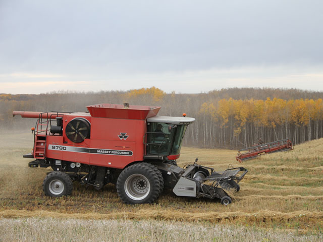 Saskatchewan farmers attempted to get as much crop off as possible before rain and snow hit this week. (DTN photo by Elaine Shein)