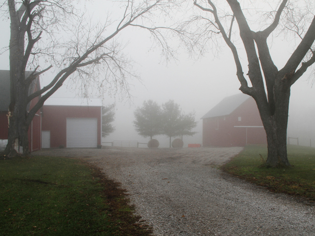 The markets look rather foggy and uncertain, but we shouldn&#039;t be frightened about the future. (DTN photo by Pam Smith)
