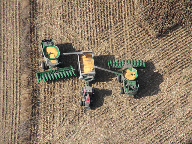 Farmland is still considered a stable investment that gives buyers long-term confidence. (DTN photo by Elaine Shein)