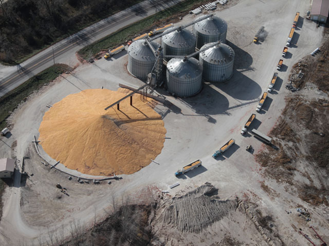 Larger corn production in South America is allowing Mexico to weigh its options for imports. However, the U.S. still continues to have a price advantage over competitors in Brazil and Argentina. (DTN file photo by Elaine Shein)