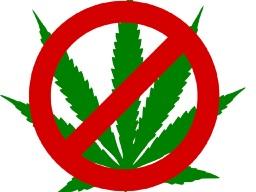 Employers with drug policies can weed out users prior to hiring and make the workplace safer. (DTN photo illustration by Scott Kemper)