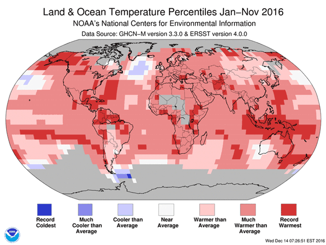 Almost all areas of the world were either much above normal or record-warmest through the first 11 months of 2016. (NOAA graphic by Nick Scalise)