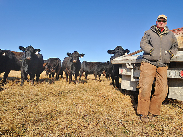 Jeff Houck says an investment in embryo transfer is helping transform this commercial beef herd. (DTN/Progressive Farmer image by Jim Patrico)