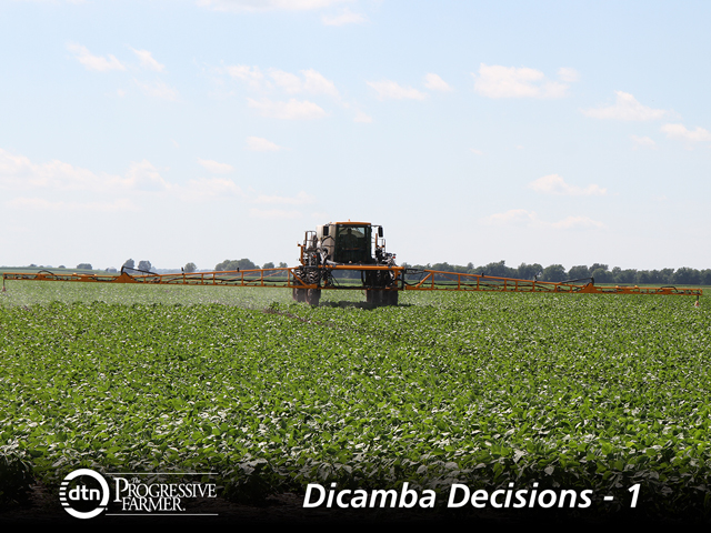 Avoid spraying during clear evenings with little to no wind to minimize your chances of spraying during a temperature inversion. (DTN photo by Pamela Smith) 