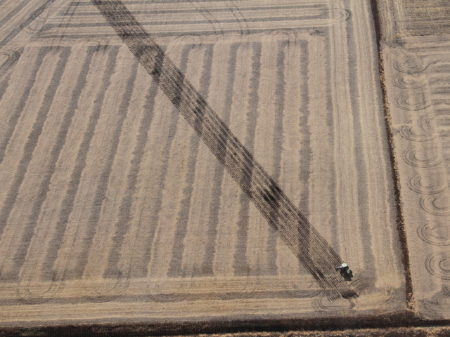 Investors want a return of 3.5% or higher on high-quality farmland they buy. (DTN photo by Elaine Shein)