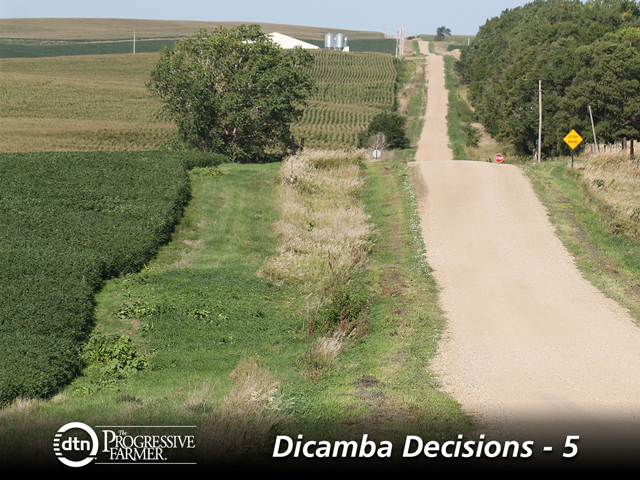 Paved or gravel roads and certain crop fields, such as corn, can serve as part of the required downwind buffers between Xtend soybean and cotton fields and sensitive areas. (DTN photo by Pamela Smith)