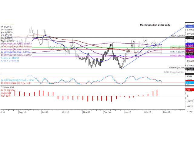 The Canadian dollar will likely show losses of over 1 cent in the first two days of trade this week, after breaking support last Monday from an upward-sloping trend line in place since a Dec. 28 low. Tuesday's move reached a five-week low. The lower study shows the weekly CFTC data in histogram form, with Feb. 21 data showing investors holding the largest bullish net-long futures position in the loonie since May 2016 at 24,584 contracts. (DTN graphic by Scott R Kemper)