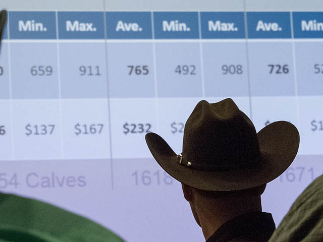 Calves in the Integrity Beef Alliance average 775 pounds at 10-months-of-age, giving cow-calf producers additional pounds to sell and feedlots an edge in conversion, health and overall profitability.(Photo courtesy Noble Foundation)