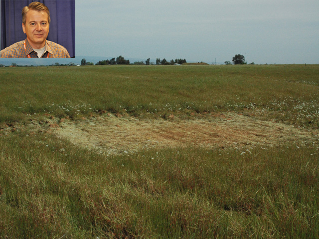 California farmer John Duarte got in trouble with the Corps of Engineers because he planted through some vernal pools on his property, such as the spot in the field above. Congressmen want to know why the Justice Department is still trying to pursue a Clean Water Act case against him. (Courtesy photo)