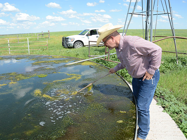 Cattle are again grazing on rangeland in southwestern Kansas and northwest Oklahoma after severe wildfires burned through the region in early March. Englewood, Kansas, rancher David Clawson examines his water tank in mid-May as the recovery process continues. (DTN photo by Russ Quinn)