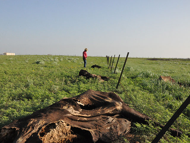 Texas Ranch Families Begin To Rebuild