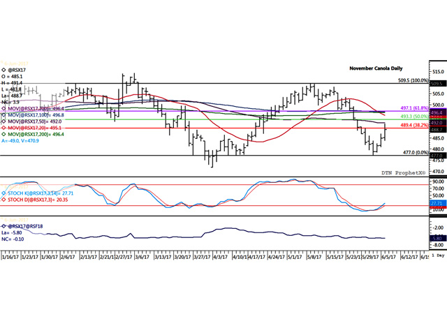 November canola gained $3.90/mt on Tuesday, while showing a potentially bullish change in short-term trend by reaching a high that exceeded the high of the previous four days. The middle study shows stochastic momentum indicators trending higher, while the lower study shows the Nov/Jan spread weakening this week, a sign of a bearish commercial approach to trade. (DTN graphic by Scott R Kemper)