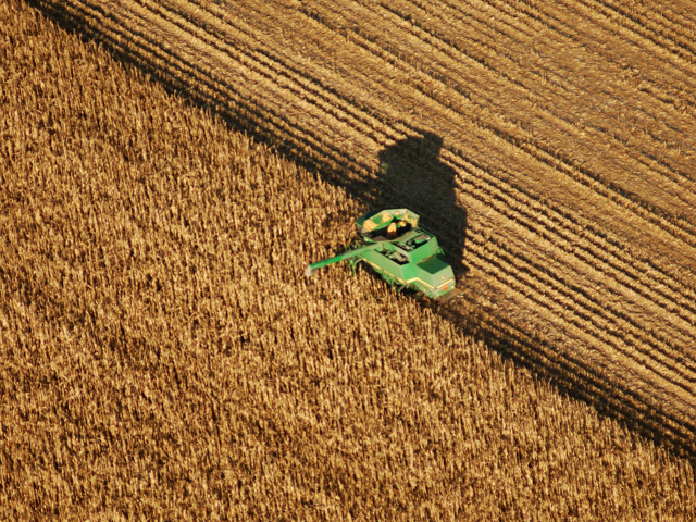 Harvesting a tax loss may generate a check from IRS: Unusually low incomes in 2015 could offset big tax years like 2010 and 2013, CPA Andy Biebl says. (DTN/The Progressive Farmer file photo) 