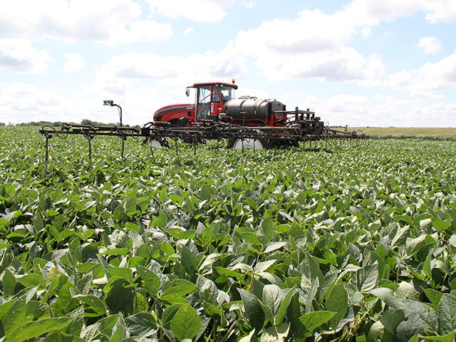 Extra nitrogen doesn&#039;t always translate to extra yield in soybeans. Consider the practice carefully. (DTN photo by Pamela Smith)