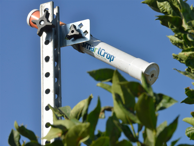 The FIT system used infrared cameras to read stress on the leaves of fruit trees and grape vine to determine the best time to irrigate. (DTN/The Progressive Farmer photo by Jim Patrico)