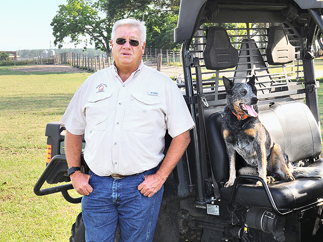 Don Quincey preconditions thousands of calves every year in Florida&#039;s hot, humid weather. He emphasizes nutrition and environment as keys to success.(DTN/Progressive Farmer photo by Becky Mills)