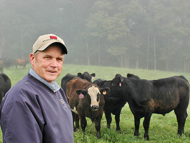 Fescue can be a challenge, but Butch Foster says he and his dad, Bob, put 200 to 250 pounds on calves in three to four months, all on Kentucky 31.(DTN/Progressive Farmer photo by Becky Mills)