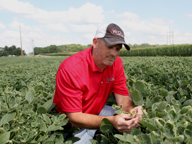 Answers to why dicamba moved this year are necessary as growers try to decide what to plant for 2018. East-central Illinois farmer Jeremy Wolf had soybeans injured from sprays that went astray this year. (DTN photo by Pamela Smith)