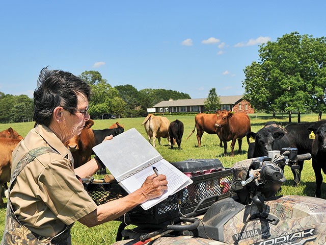Willyne McGill has some strict criteria about keeping an unbred cow.(Progressive Farmer photo by Becky Mills)