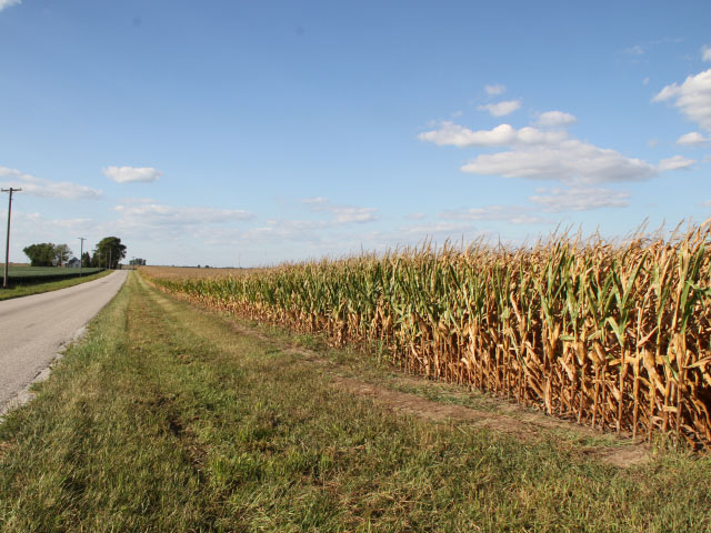 The road to harvest is growing shorter, particularly in areas that have seen drought conditions, like these Illinois fields. (DTN photo by Pamela Smith)