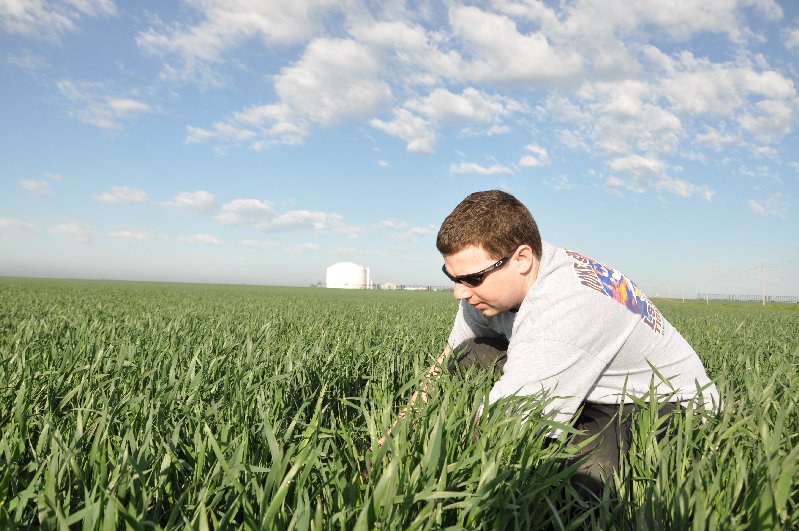 Now is a good time to make sure that good-looking winter wheat crop isn&#039;t hiding any early season disease symptoms. (DTN photo by Greg Horstmeier)
