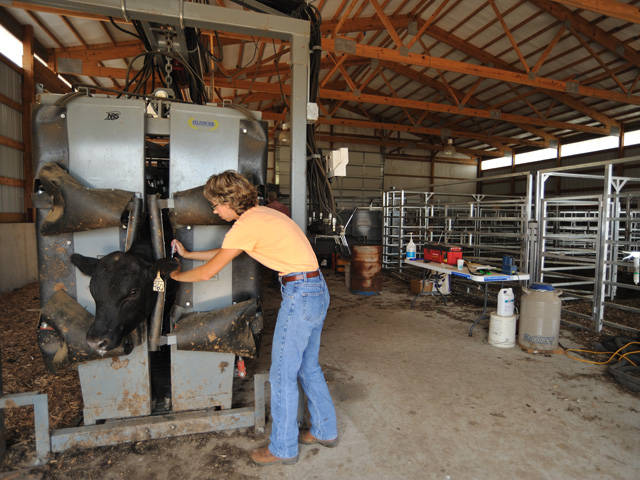 When it&#039;s time to update or add handling facilities, put efficiency high on the priority list. (DTN/Progressive Farmer photo by Jim Patrico)