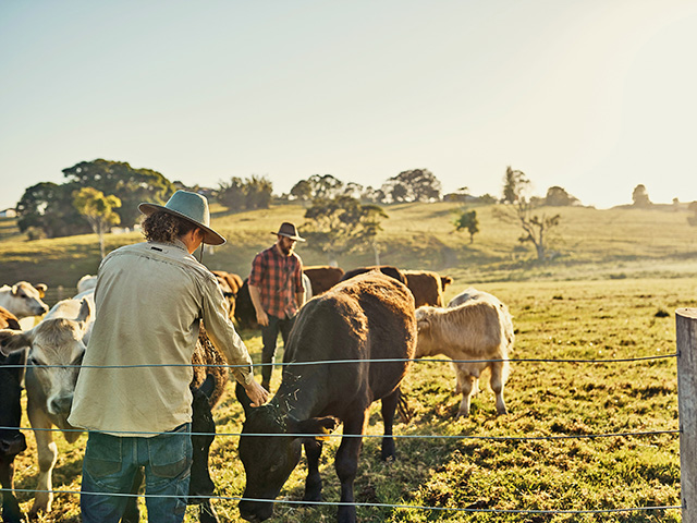 A parent&#039;s choice of business partners is the children&#039;s challenge. (Progressive Farmer photo by iStock/Getty Images Plus)