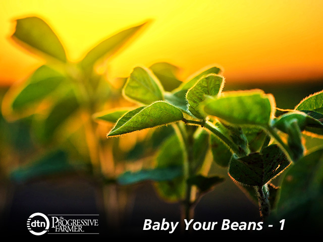 Good genetics is top of the heap when ranking prerequisites for pushing the yield on soybeans. (Photo by Getty Images)