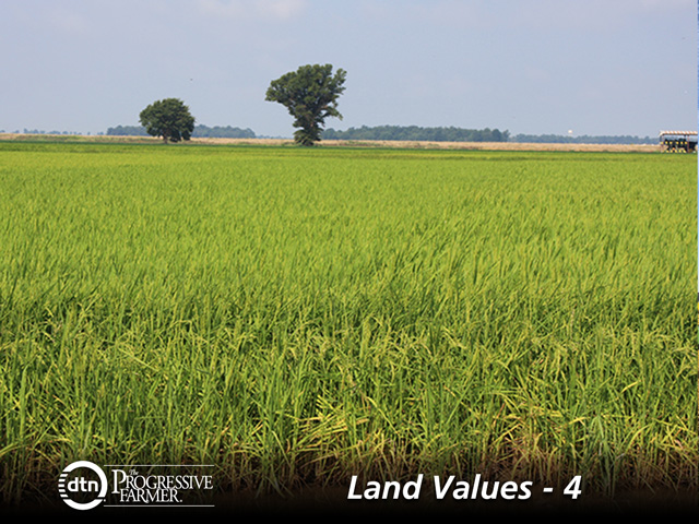 Rice producers in Arkansas are often multi-generational, leasing the same land for decades, and having an advantage when it comes time to buy. (DTN/The Progressive Farmer photo by Patrick R. Shepard)