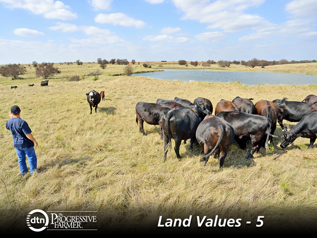 Leading the country in increased pasture prices last year were South Dakota, Arkansas and Wisconsin. (DTN/The Progressive Farmer photo by Jim Patrico)