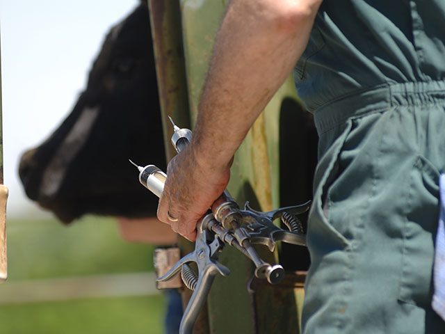 Beef Quality Assurance training covers a wide range of management areas, from handling to bookkeeping. (DTN/Progressive Farmer image by Jim Patrico)