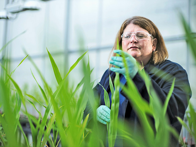 Mini Microbes Enhance Soil Health, Boost Nutrient Uptake ...